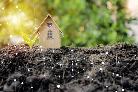 Investment in real estate, land, housing, buildings concept. The house model is located on the mound and there are leaves that are growing.の写真素材