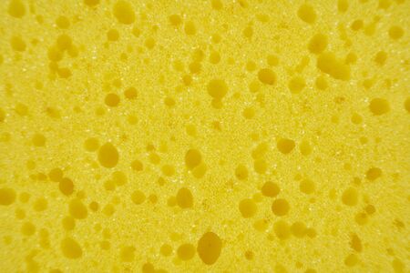 Cleaning Sponge Textures, backgrounds Isolated, Bath Sponge concept.の写真素材