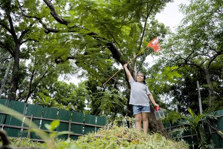 Cute Asian Girls are learning from her adventure with nature, set out to catch insects with sticks containing insect net and cans. Education concept.の写真素材