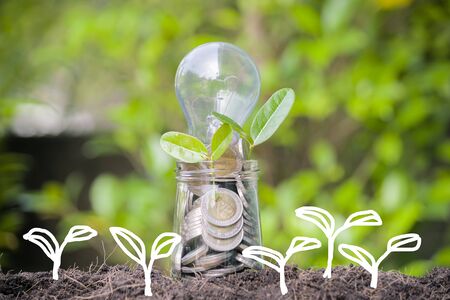 Business Growth concept. Jar with coins in full, the lamp is placed on top, leaves are budding blade. Growing sectors in the course of continuous improvement.の写真素材