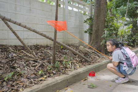 Cute Asian Girls are learning from her adventure with nature, set out to catch insects with sticks containing insect net and cans. Education, Self-learning experience. She is committed concept.の写真素材