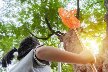 An Asian girl, she is adventuring in a wide world. Along with a bug catcher She looked at the big tree. Pure natural energy conceptの写真素材