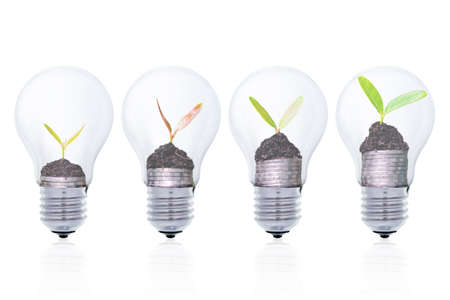 Light bulb, isolated, Realistic photo image, Light bulb on white background.の写真素材