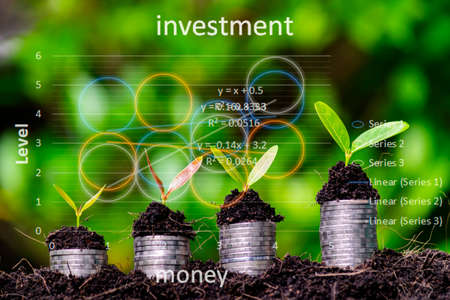 Financial and investment concepts. Little green seedlings growing in soil against on the coins that overlapの写真素材
