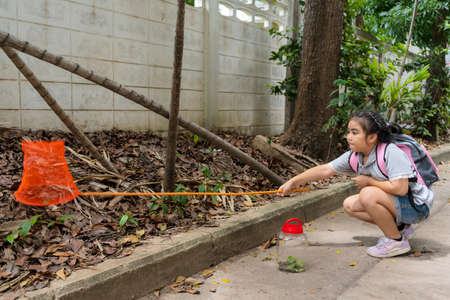 An Asian girl is adventuring in a wide world. Along with a bug catcher and Catching insectsの写真素材