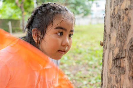 An Asian girl, she is adventuring in a wide world. She was looking at the insects perched on the tree. Pure natural energy conceptの写真素材
