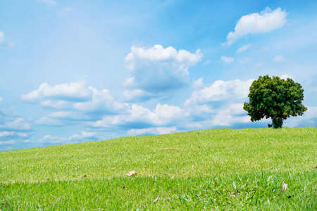 Beautiful green meadow field hill with white clouds and blue skyの写真素材