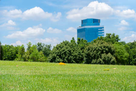 Beautiful green meadow field hill, with white clouds and blue sky. Parking concept, Bright the morning lightの写真素材