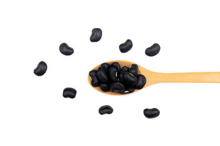 Black beans in a wooden spoon, White isolated backgroundの写真素材