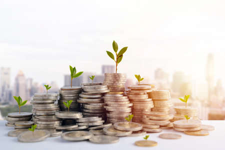 Money growth Saving money. Upper Seedlings coins to shown concept of growing businessの写真素材