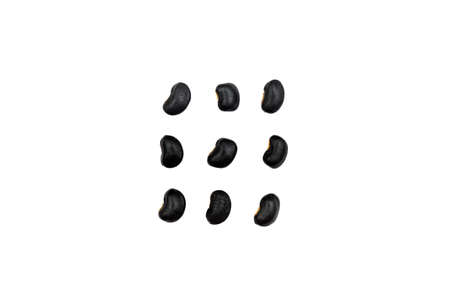 Closeup black beans, White isolated background. There are 9 seedsの写真素材