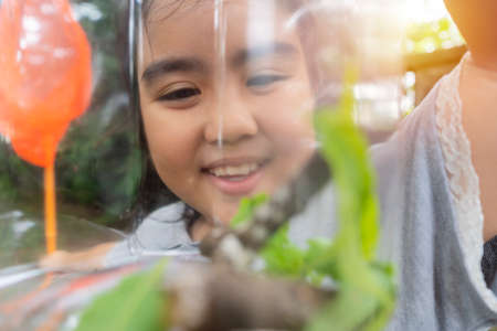 An Asian girl Portrait, she is adventuring in a wide world. Along with a bug catcher. She was watching the insects caughtの写真素材