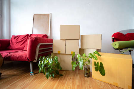 Cardboard boxes, potted plants and household stuff indoors. Moving dayの写真素材