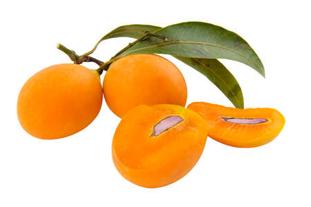 Golden dragon fruit with green leaf, sweet Marian plum thai fruit isolated on white backgroundの写真素材