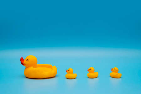The concept of a smooth follow-up, rubber ducks manage to line up on a blue backgroundの写真素材