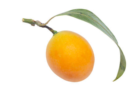 sweet Marian plum thai fruit isolated on white background (Mayongchid Maprang Marian Plum and Plum...