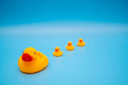 The concept of a smooth follow-up, rubber ducks manage to line up on a blue backgroundの写真素材