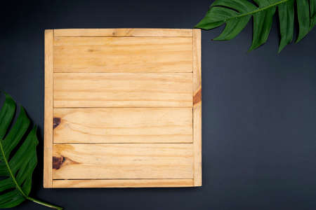 Top view of plank from dark wood, with frame from colorful autumn maple leaves. Copy space. Two tropical jungle monstera leaves isolated on black backgroundの写真素材