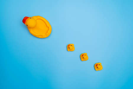 The concept of a smooth follow-up, rubber ducks manage to line up on a blue background
