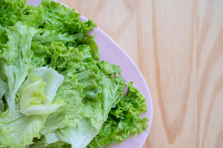 Fresh organic spinach in a bowl is placed on the dining table.の写真素材
