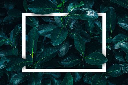 Creative layout made of flowers and leaves with paper card note. Flat lay. Nature conceptの写真素材