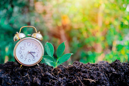 Plant growing up on the growing with clock and nature background