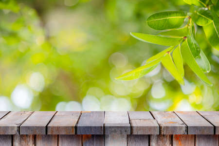 Empty wooden table with blurred natural bokeh background. Beautiful nature view green leaf on blurred greeneryの写真素材