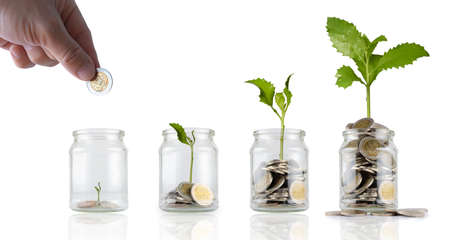 Put coins in a glass jar and the trees are growing. Jars with different level of coins isolated on white, coins in glass, finance accounting conceptの写真素材