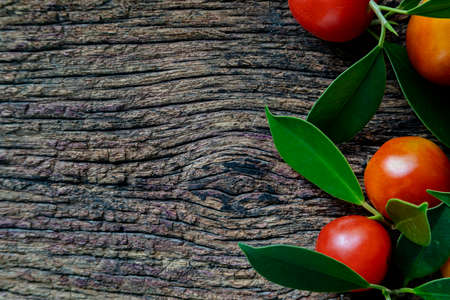 Fresh tomatoes on a dark background harvest tomatoes, top view.の写真素材