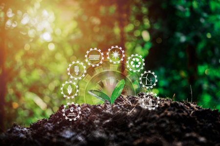 The seedling are growing from the rich soil to the morning sunlight that is shining, ecology concept. Environment and ecology concept. Sources for renewable, sustainable development.の写真素材