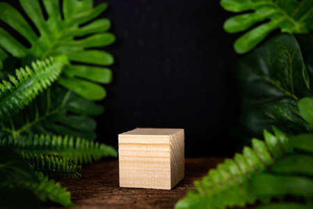 Wooden blocks on black background with green leaves. Display scene concept for merchandise. Promotion, sale, presentation of cosmetic productsの写真素材