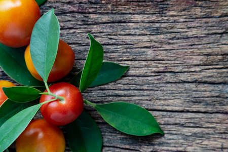 Fresh ripe garden tomatoes and basil on wooden table. Top view with copy spaceの写真素材