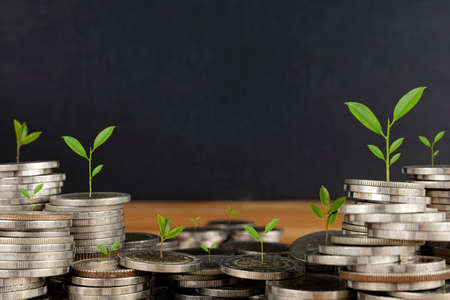 Growing Money - Plant On Coins - Finance And Investment Concept. coins stacked on each other in different positions.の写真素材