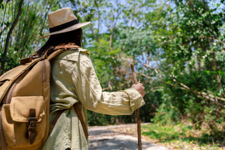 A female tourist traveling in the forest using tree branches to help him travel.の写真素材