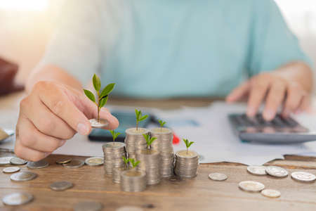 A businessman holding a coin with a tree that grows and a tree that grows on a pile of money. The idea of maximizing the profit from the business investment.の写真素材