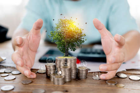 A businessman holding a coin with a tree that grows and a tree that grows on a pile of money. The idea of maximizing the profit from the business investment.の写真素材