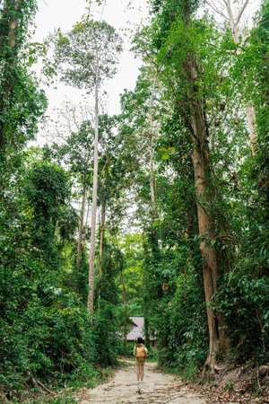 Young woman hiker stands in the tropical lush forest and looks at the trees. tilt shift effect applied on the edges. The interior is vertical to make a postcard.の写真素材