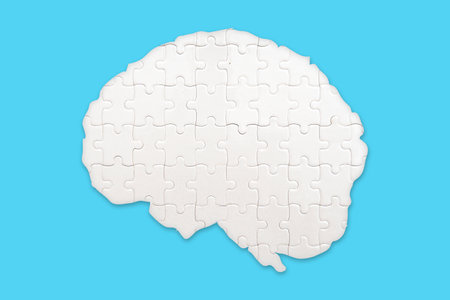 Brain from paper puzzles. mental health and problems with memory. Brain jigsaw puzzles to be placed separately on blue. The concept of treating brain disordersの写真素材