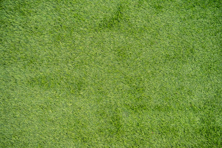 Artificial grass field meadow green. Top View Texture. Green grass. natural background texture. fresh spring green grass.の写真素材