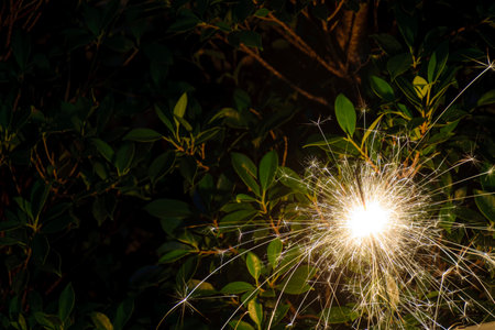 Fireworks that were emitting light were planted in flower pots. Background of green bushes.の写真素材
