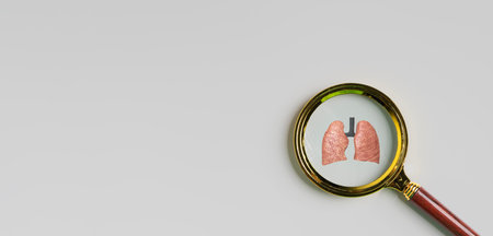 Medical concept, Magnifying glass focus lungs organ icon on white background for diagnosis treatment lungs, pulmonary tuberculosis, lung cancer and respiratory.の写真素材