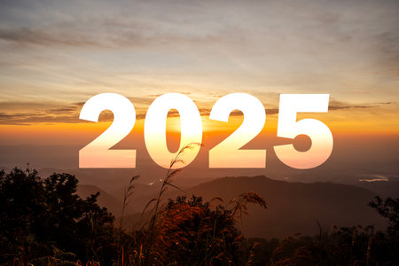 A glowing number 2025 stands in a grassy area as the sun sets, casting warm light against a backdrop of trees. Bright illuminated numbers 2025 against a stunning sunset backdrop.の写真素材