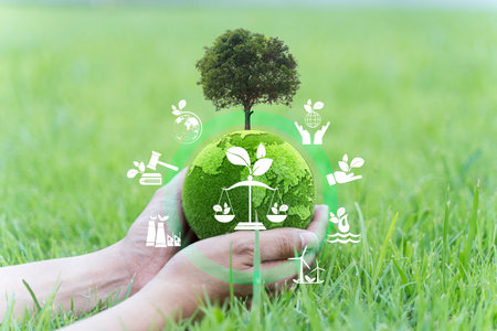 Environmental Law, International Environmental Policy, Sustainability, Eco-friendly Law, Climate Protection, Sustainable Energy Policy, Green World in Hands, Environmental Protection Law Conceptの写真素材