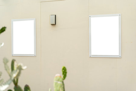 Plants against minimalist white wall. Blank frame poster green cactus. Home decoration Scandinavian style. Clipping path.の写真素材