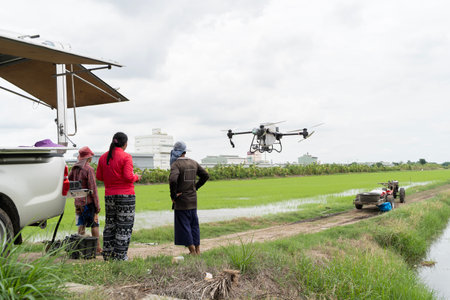 Group of farmers using a flying drone in a lush rice field to support agricultural tasks such as...