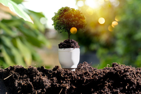 A tree growing from a light bulb placed in soil, symbolizing eco innovation, sustainability,...