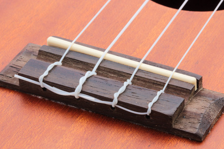 ukulele