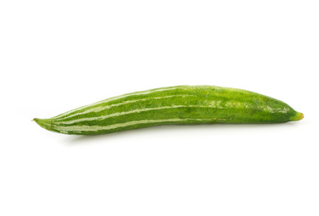 Snake gourdの写真素材