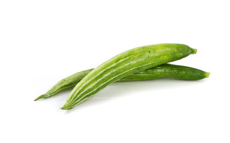 Snake gourdの写真素材