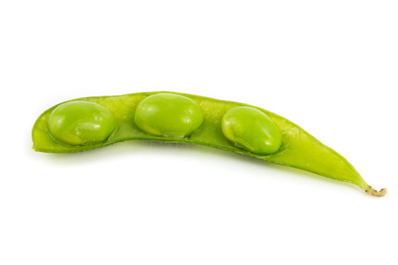 Green soybeans on white backgroundの写真素材